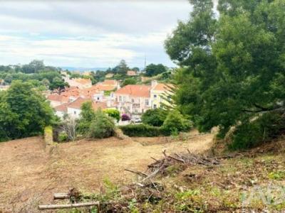 Annonce Vente Terrain Sintra