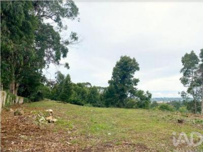 Acheter Terrain 8385 m2 Sintra