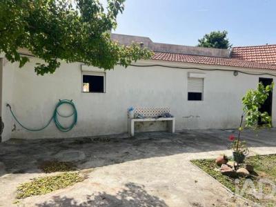 Annonce Vente Maison Cadaval