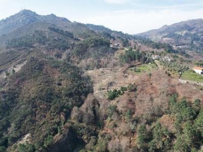 Annonce Vente Terrain Cabeceiras-de-basto