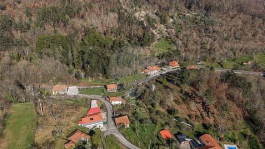 Acheter Terrain Celorico-de-basto r�gion BRAGA