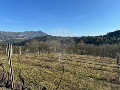 Acheter Terrain Cabeceiras-de-basto r�gion BRAGA