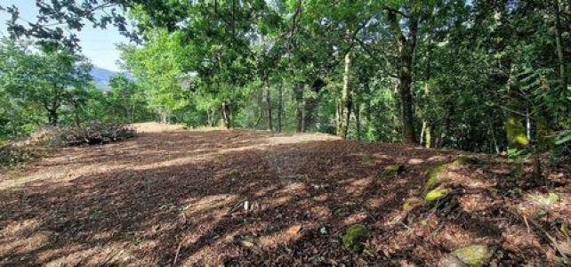 Acheter Terrain Terras-de-bouro r�gion BRAGA