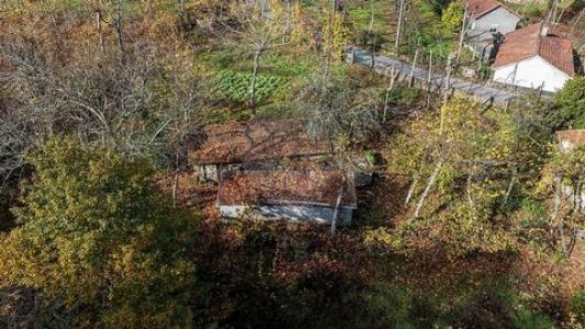 Annonce Vente Maison Celorico-de-basto