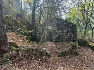 Annonce Vente Terrain Terras-de-bouro