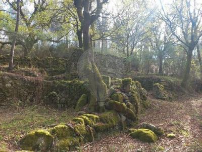 Acheter Terrain Terras-de-bouro