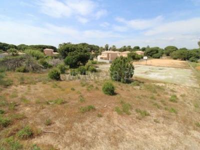 Annonce Vente Maison Loule