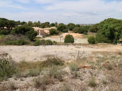 Acheter Maison Loule