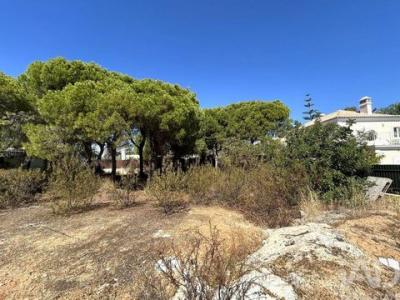 Acheter Terrain Loule r�gion FARO