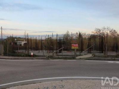 Annonce Vente Terrain Coimbra