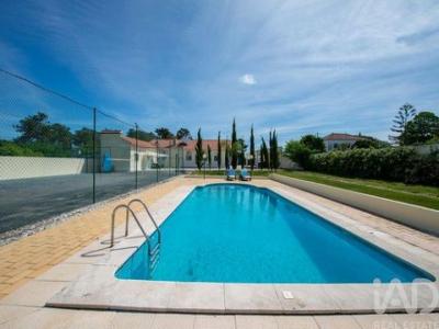 Annonce Vente Maison Palmela