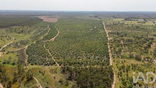 Vente Terrain Abrantes  14 au Portugal
