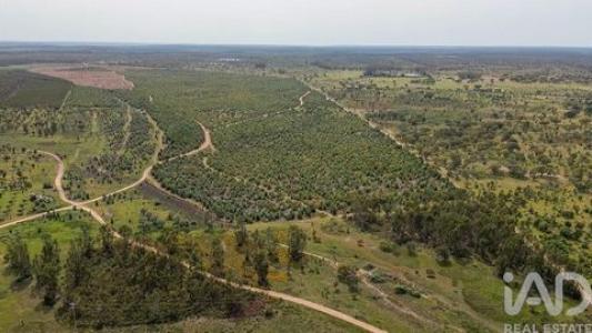 Acheter Terrain Abrantes r�gion SANTAREM
