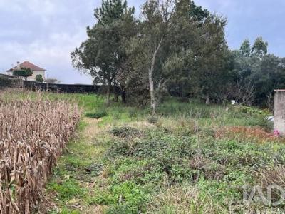 Annonce Vente Terrain Esposende