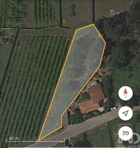 Acheter Terrain 1060 m2 Esposende