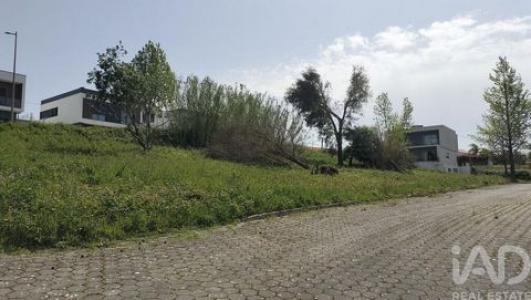 Annonce Vente Terrain Leiria