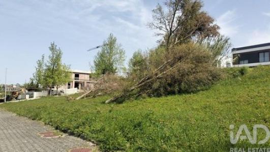 Acheter Terrain 296 m2 Leiria