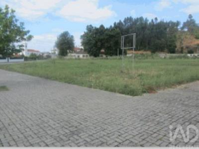 Acheter Terrain Coimbra r�gion LEIRIA