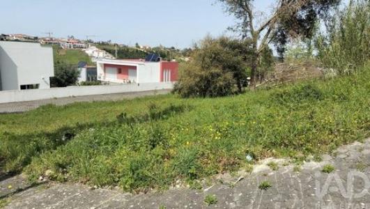 Acheter Terrain Leiria r�gion LEIRIA