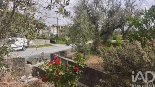 Annonce Vente Maison Oliveira-do-hospital