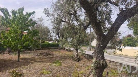 Acheter Maison Oliveira-do-hospital r�gion COIMBRA