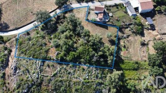 Vente Terrain Ansiao SANTIAGO-DA-GUARDA 10 au Portugal