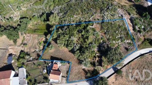 Annonce Vente Terrain Ansiao