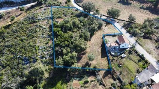 Acheter Terrain 3460 m2 Ansiao