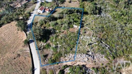 Acheter Terrain Ansiao r�gion LEIRIA