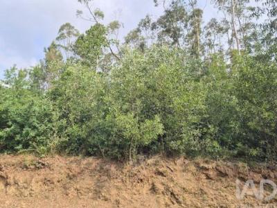 Acheter Terrain 2320 m2 Santa-maria-da-feira