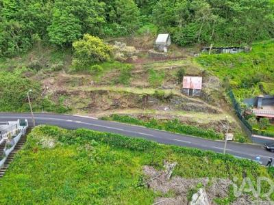 Acheter Terrain 722 m2 Sao-vicente