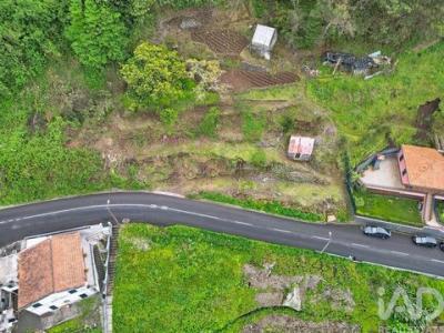 Acheter Terrain Sao-vicente r�gion MADEIRA