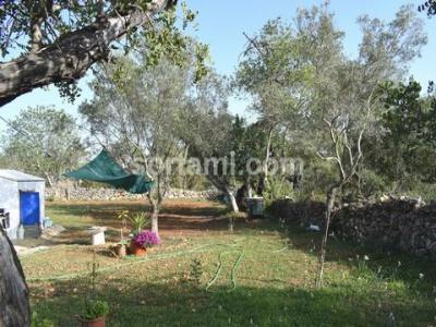 Acheter Terrain Loule