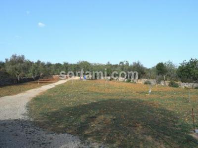 Acheter Terrain Loule r�gion FARO