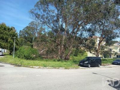 Acheter Terrain 305 m2 Rio-maior