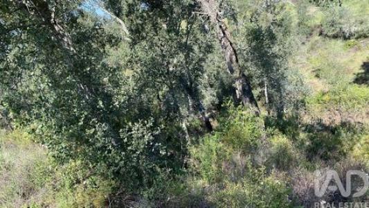 Annonce Vente Terrain Ponte-de-sor