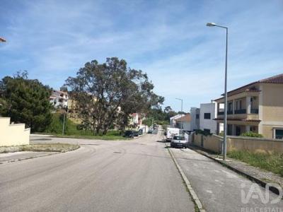 Acheter Terrain Rio-maior r�gion SANTAREM