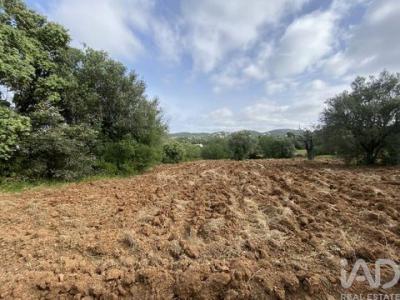 Annonce Vente Terrain Faro