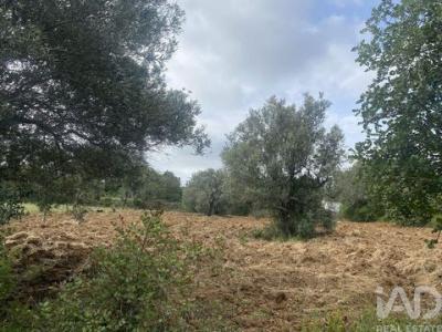Acheter Terrain 1720 m2 Faro