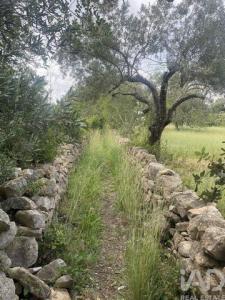 Acheter Terrain Faro r�gion FARO