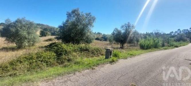 Acheter Terrain 2633 m2 Leiria