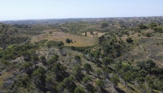Acheter Terrain Vila-nova-de-cacela r�gion FARO