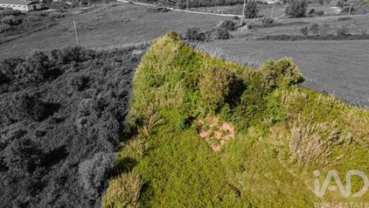 Acheter Terrain 4080 m2 Cadaval