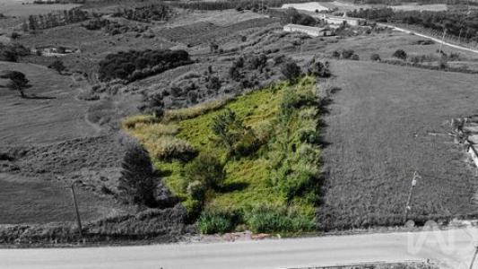 Acheter Terrain Cadaval r�gion LISBOA