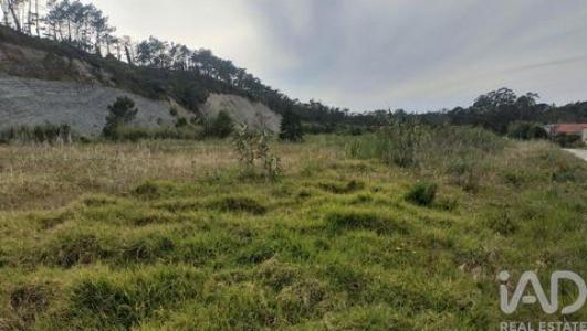 Acheter Terrain 32767 m2 Figueira-da-foz