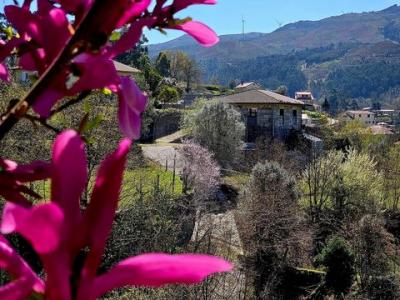 Annonce Vente Maison Vieira-do-minho