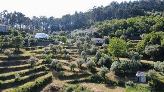 Annonce Vente Maison Celorico-de-basto