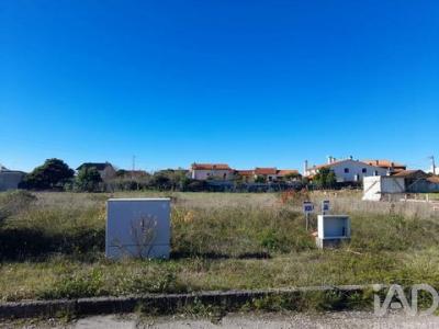 Acheter Terrain Cantanhede r�gion COIMBRA
