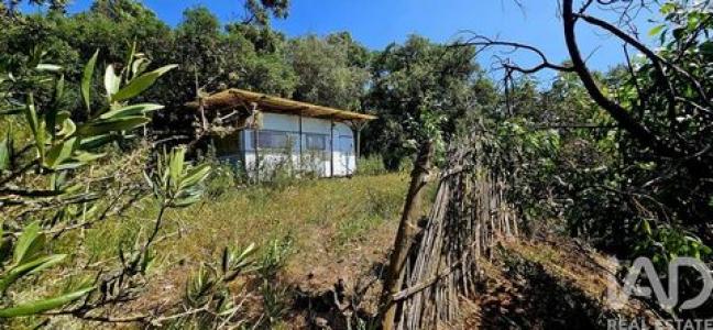 Acheter Terrain 5480 m2 Vila-do-bispo