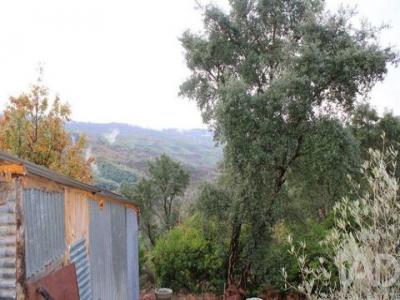 Annonce Vente Terrain Seia